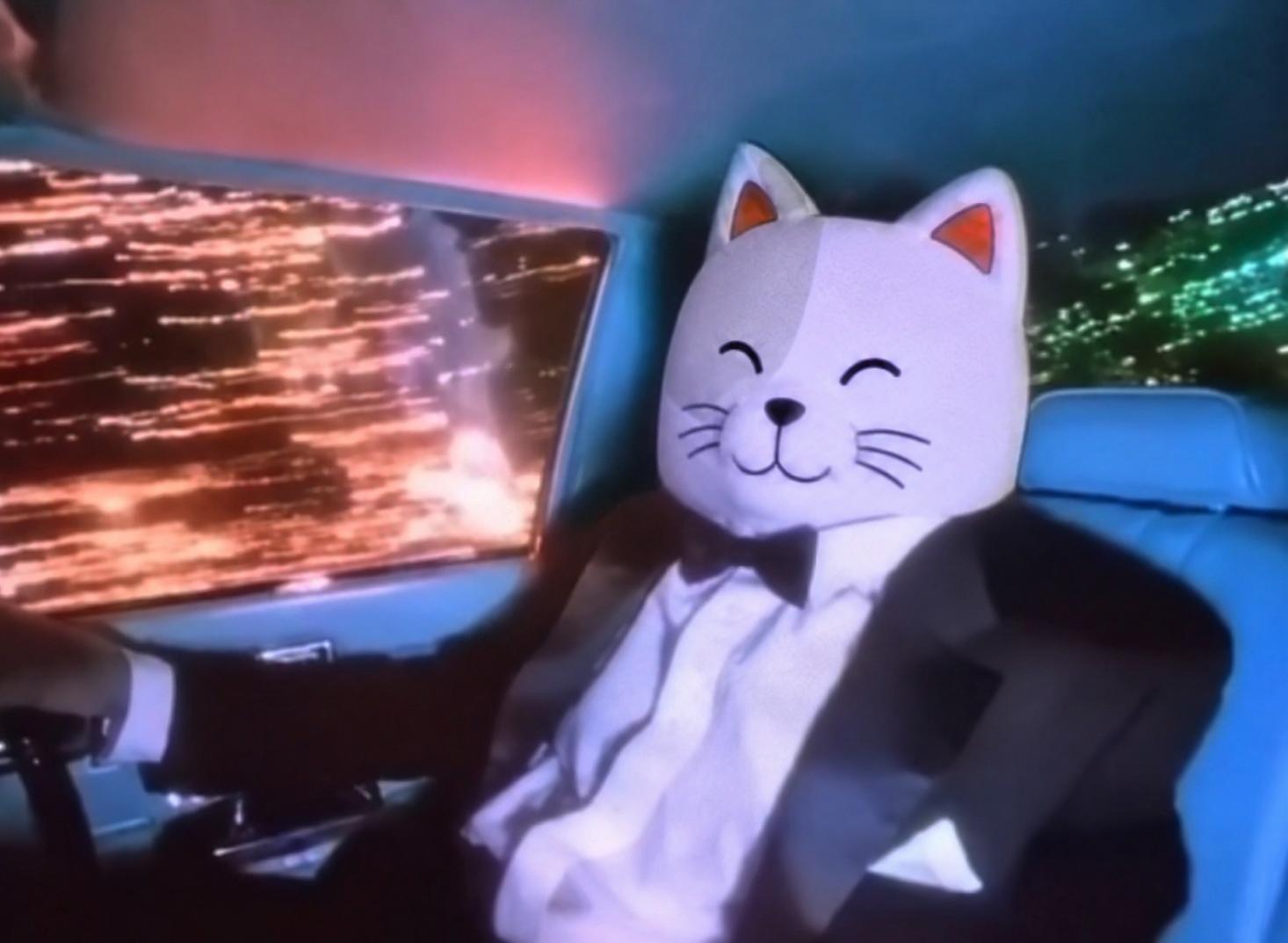 Purr Cat dressed for a night drive