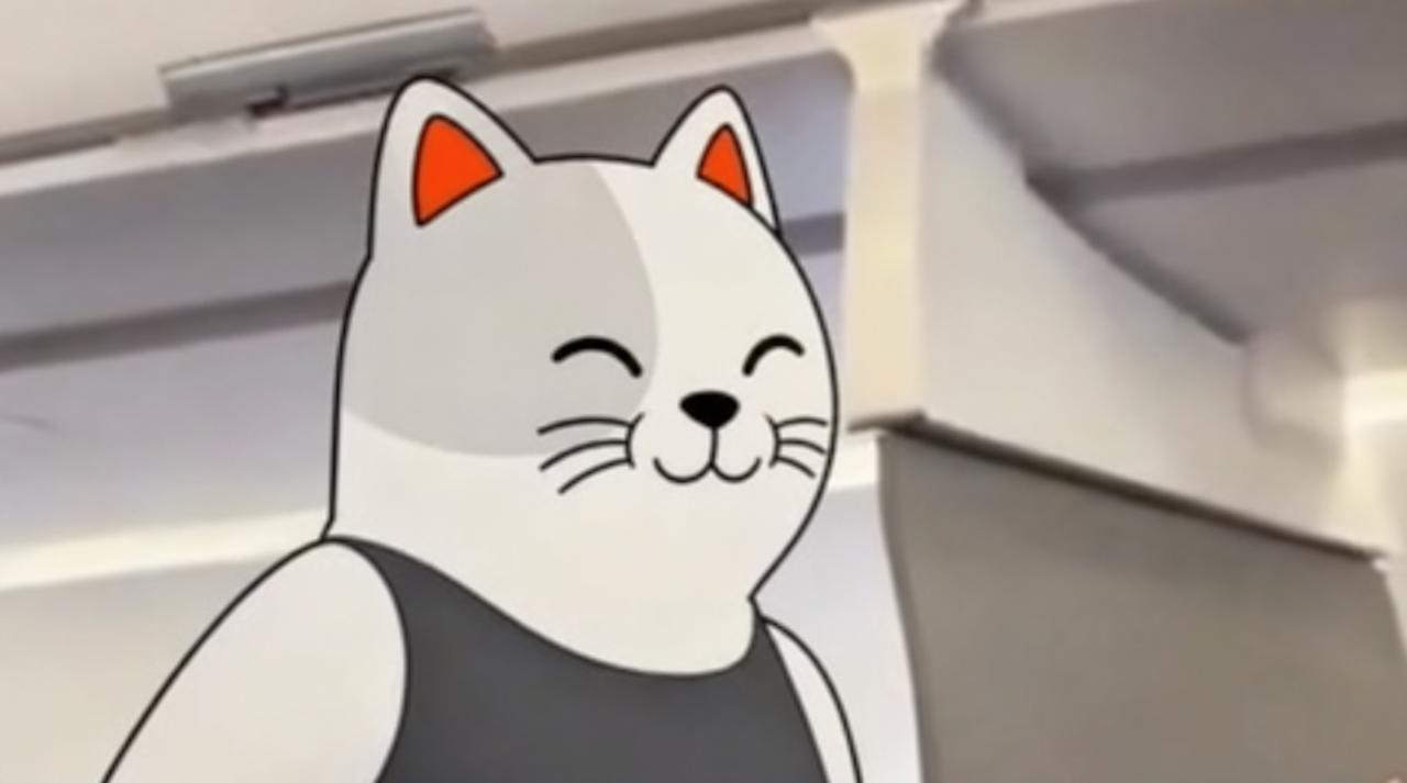 Purr Cat at the gym